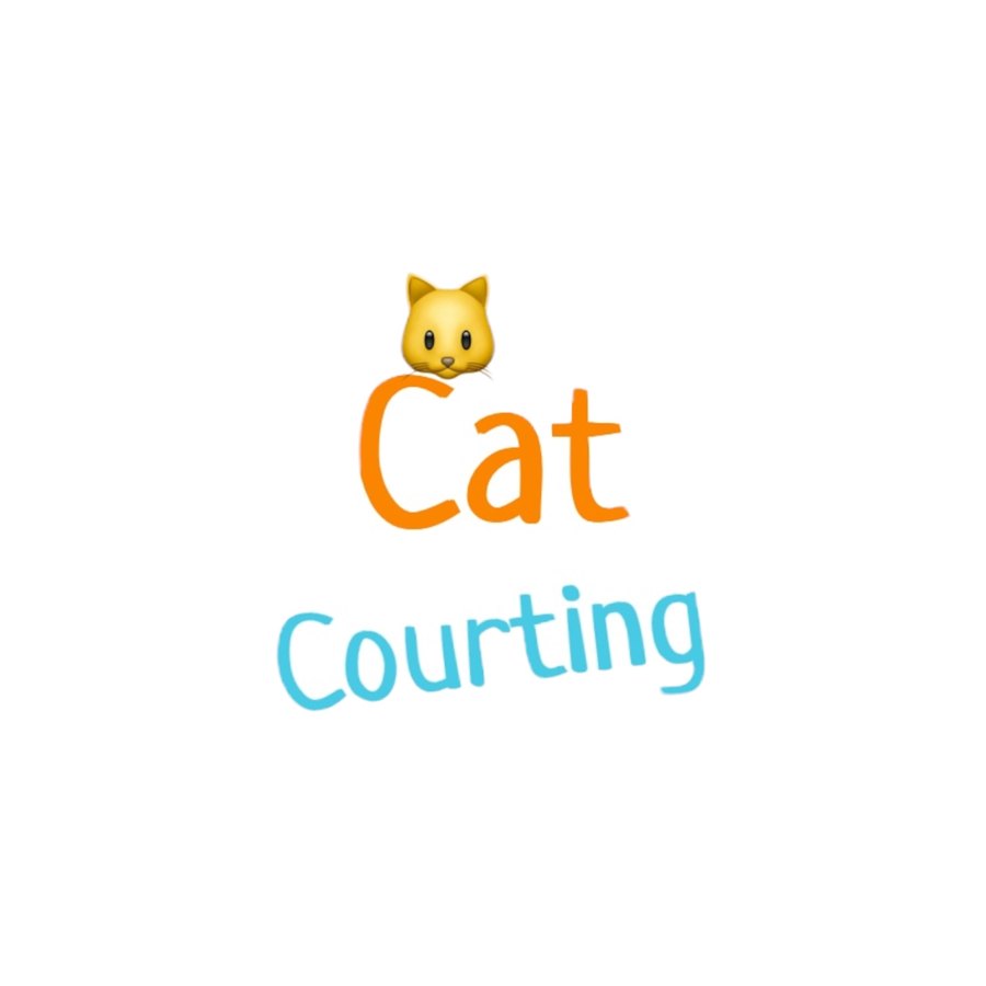 Cat Courting